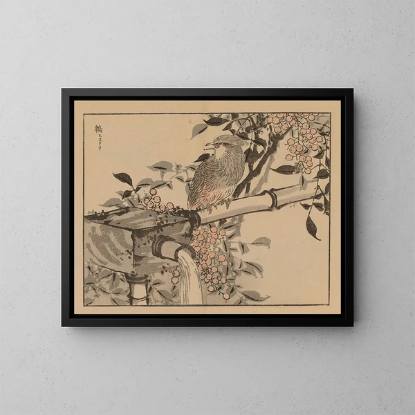 Bairei gafu Painting, plate 49 - Kono Bairei — framed artwork on a wall