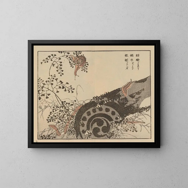 Bairei gafu, plate 56 - Kono Bairei — framed artwork on a wall
