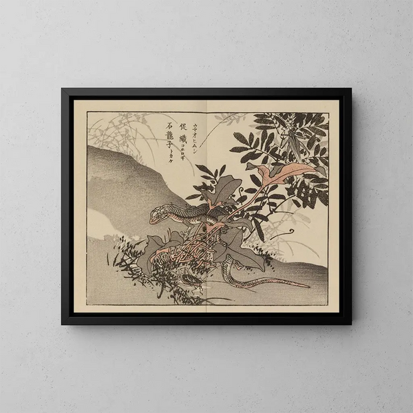 Bairei gafu, plate 66 - Kono Bairei — framed artwork on a wall