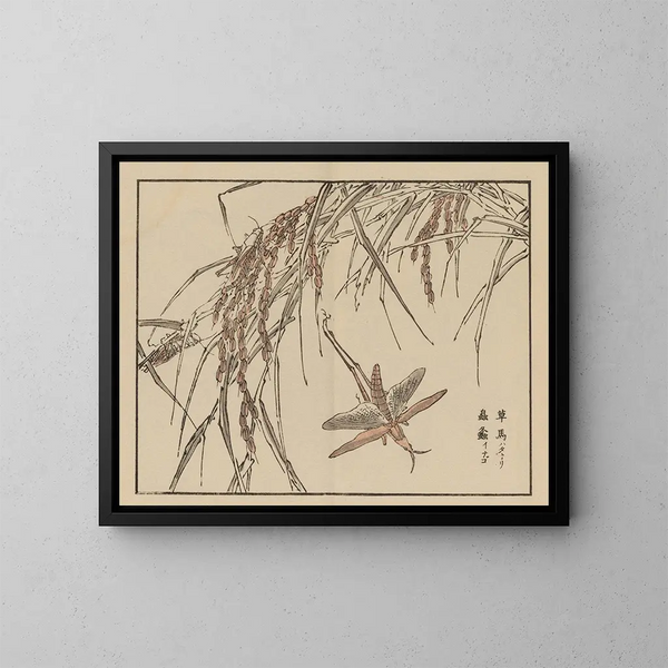 Bairei gafu, plate 72 - Kono Bairei — framed artwork on a wall