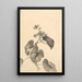Branche de bégonia en fleurs - Kono Bairei — ingelijst kunstwerk aan de muur