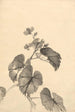 Branche de bégonia en fleurs - Kono Bairei — weergave van het kunstwerk