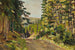 Siberisch landschap - Konstantin Alexeïevitch Korovine — weergave van het kunstwerk