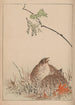 Kacho gafu Pl12 - Kotei Fukui — artwork view