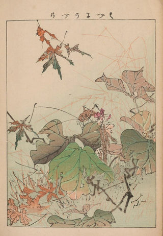 Kotei Fukui - Kacho gafu Pl13.webp