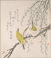 Japanse witte ogen met perzikboom en wilg van de Spring Rain Surimono Harusame surimonoj vol. 3 - Kubo Shunman — weergave van het kunstwerk