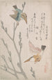 Martins-pêcheurs et saules - Kubo Shunman — weergave van het kunstwerk