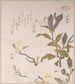 Magnolia Bloemen - Kubo Shunman — weergave van het kunstwerk