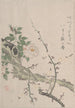 Rozen en kersenbloesem - Kubo Shunman — weergave van het kunstwerk