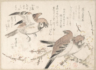 Kubo Shunman - Sparrows and Plum Blossoms.webp