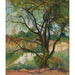 Reproductie van het schilderij L'Arbre - Suzanne Valadon