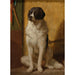 Reproductie van het schilderij L'attente - Jean-Léon Gérôme