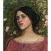 Reproduction of the painting The Rose Enclosure - John William Waterhouse