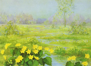 Lafayette F Cargill - Cowslip.webp