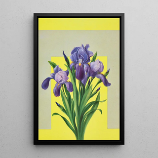 Lafayette F Cargill - Iris.webp
