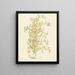 Mesembryanthemum with flowers from the Aizoaceae family - Laurens Vincentsz van der Vinne — framed artwork on a wall