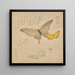 The Butterfly Cloud Painting Manual Guncho Gafu 2 - Kubo Shunman — framed artwork on a wall