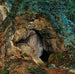 Le Repère des Dragons - James Campbell — weergave van het kunstwerk