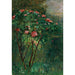 Reproductie van het schilderij Le Rosier Fleuri - Gustave Caillebotte