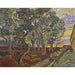 Reproduction of the painting The Garden of Saint-Paul Hospital - Vincent van Gogh