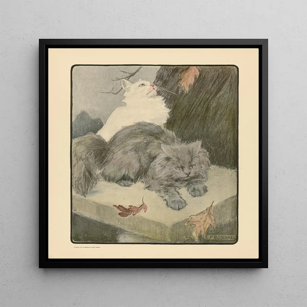Le livre du chat pl 5 - Elizabeth Fearne Bonsall