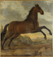 De sultan van Karel XI - David Klöcker Ehrenstrahl — weergave van het kunstwerk