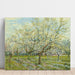 Reproduction of the painting The White Orchard - Vincent van Gogh