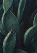 Émeraudes cactus - Leon Carroll — weergave van het kunstwerk