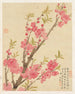 Flowers Pl. 01 - Liang Yuwei — artwork view