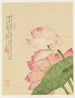 Flower Painting Pl. 04 - Liang Yuwei — artwork view