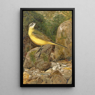 LoPaul Robert - Bergeronnette.webp