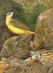 Bergeronnette - Léon Paul Robert — artwork view