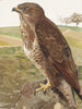 Buse - Léon-Paul Robert — weergave van het kunstwerk
