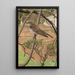 Gobemouche gris - Léon Paul Robert — framed artwork on a wall