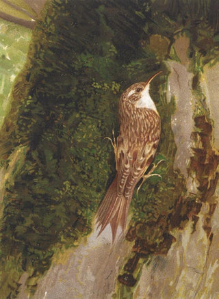LoPaul Robert - Grimpereau.webp