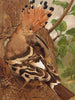 Huppe - Léon-Paul Robert — weergave van het kunstwerk