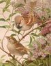 Moineau franc - Léon-Paul Robert — weergave van het kunstwerk