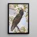 Starling - Léon Paul Robert — framed artwork on a wall