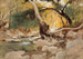 Mission Canyon Santa Barbara - Lockwood de Forest — weergave van het kunstwerk
