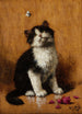 Chaton avec papillon - Léon Huber — weergave van het kunstwerk
