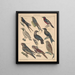 Illustrations for the General Natural History of Oken for all classes Pl120 - Lorenz Oken — framed artwork on a wall