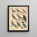 Illustrations for the General Natural History of Oken for all classes Pl123 - Lorenz Oken — framed artwork on a wall