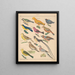 Illustrations for the General Natural History of Oken for all classes Pl125 - Lorenz Oken — framed artwork on a wall