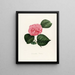 Iconografie van het genre Camellia Pl007 - Lorenzo Bartolini — ingelijst kunstwerk aan de muur