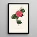 Iconographie du genre Camellia Pl057 - Lorenzo Bartolini — ingelijst kunstwerk aan de muur