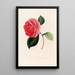 Iconographie du genre Camellia Pl069 - Lorenzo Bartolini — ingelijst kunstwerk aan de muur