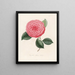 Iconografie van het Camellia-genre Pl093 - Lorenzo Bartolini — ingelijst kunstwerk aan de muur