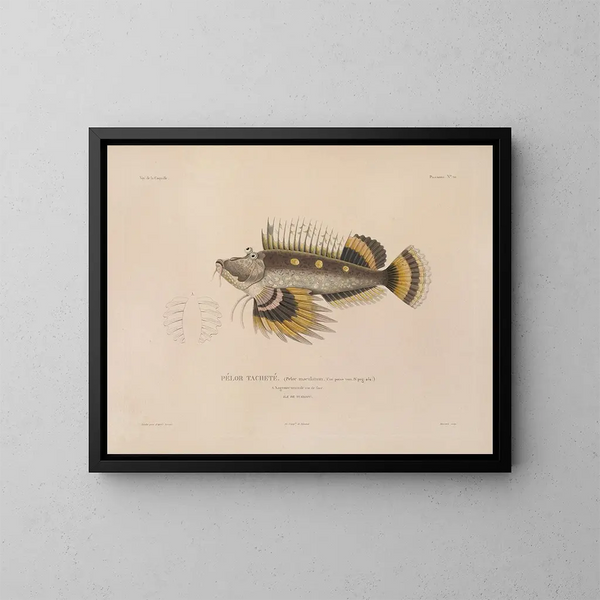 Reis rond de wereld - Louis-Isidore Duperrey — ingelijst kunstwerk aan de muur