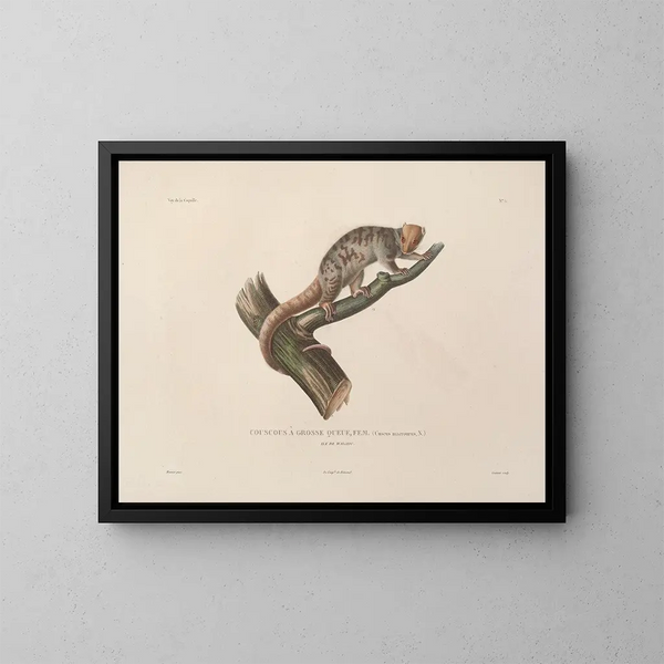 Reis rond de wereld Pl. 108 - Louis-Isidore Duperrey — ingelijst kunstwerk aan de muur