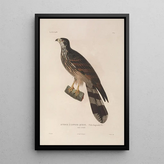 LouisIsidore Duperrey - Voyage autour du monde Pl113.webp